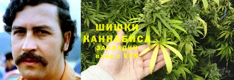 мориарти телеграм  наркотики  Михайловка  Бошки марихуана OG Kush 